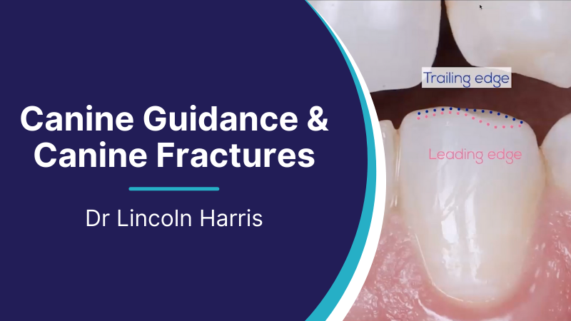 canine-guidance-canine-fractures